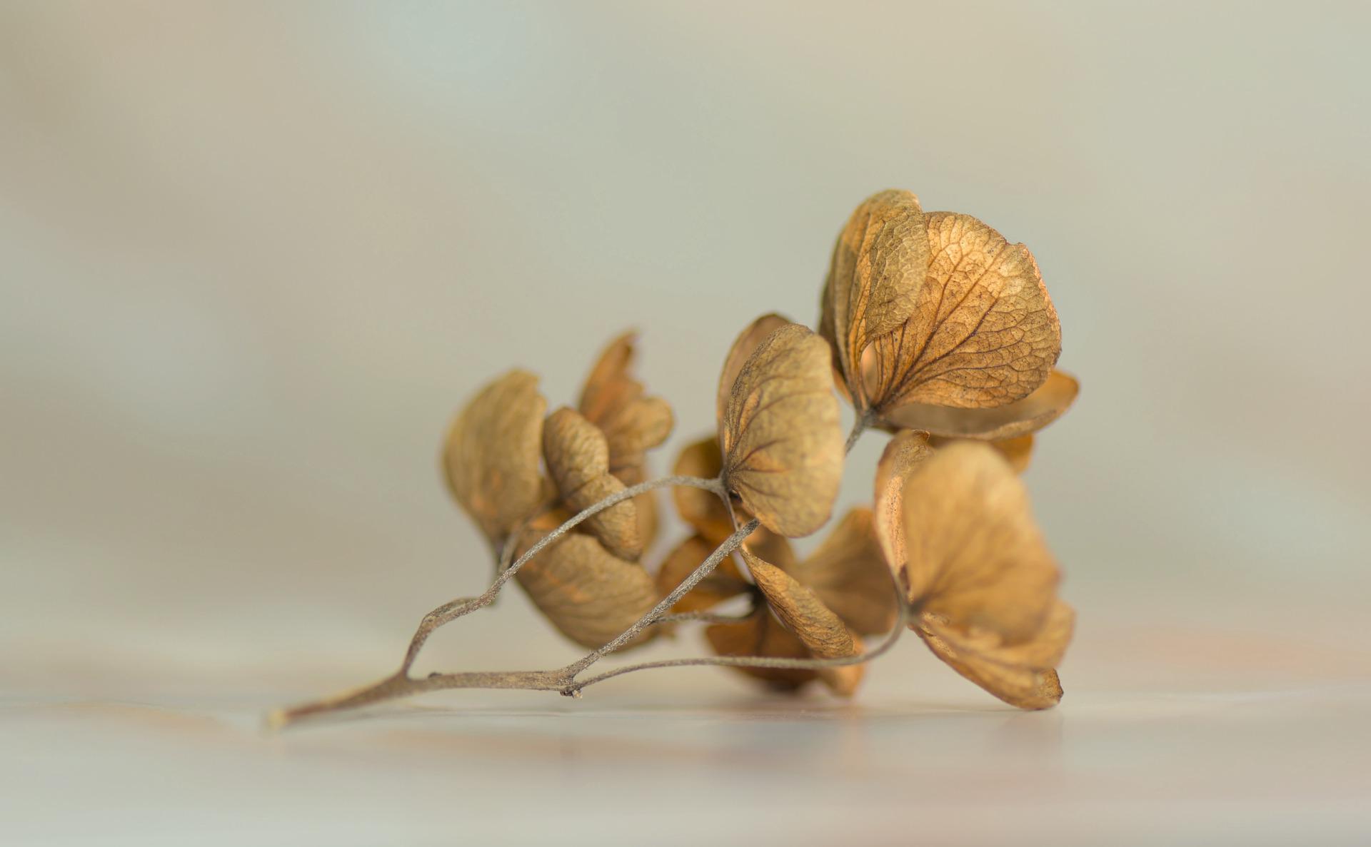 何炅经纪人王菁照片（何炅女友王菁是干什么的）